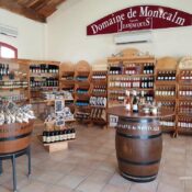vente_jeanjacques_montcalm_sable_camargue